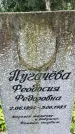 Захоронение ID 3602845