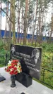 Захоронение ID 3602856