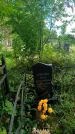 Захоронение ID 3602898