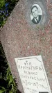 Захоронение ID 3603011