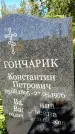 Захоронение ID 3603013