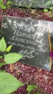 Захоронение ID 3603174