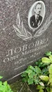 Захоронение ID 3603237