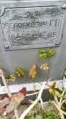 Захоронение ID 3603261