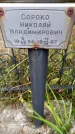 Захоронение ID 3603323