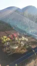 Захоронение ID 3603337