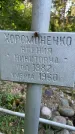 Захоронение ID 3603418