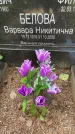 Захоронение ID 3603489