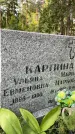 Захоронение ID 3603517