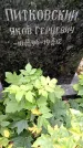 Захоронение ID 3603537