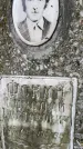 Захоронение ID 3603609