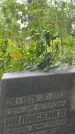 Захоронение ID 3603613