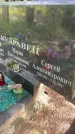 Захоронение ID 3603695