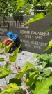 Захоронение ID 3603713