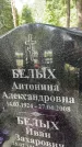 Захоронение ID 3603745