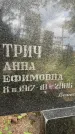 Захоронение ID 3603756