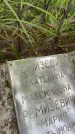 Захоронение ID 3603902