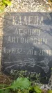 Захоронение ID 3604014