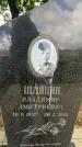 Захоронение ID 3604169