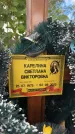 Захоронение ID 3604210