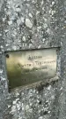 Захоронение ID 3604225
