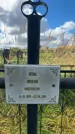 Захоронение ID 3604308