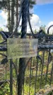 Захоронение ID 3604328