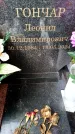 Захоронение ID 3604363