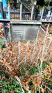 Захоронение ID 3604389