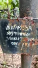 Захоронение ID 3604400