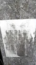 Захоронение ID 3604409