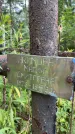 Захоронение ID 3604449
