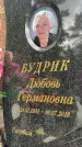 Захоронение ID 3604495