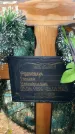 Захоронение ID 3604512