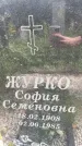 Захоронение ID 3604533