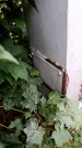 Захоронение ID 3604661