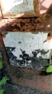 Захоронение ID 3604701