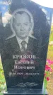 Захоронение ID 3604796