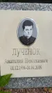 Захоронение ID 3604896