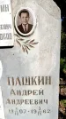 Захоронение ID 3604916