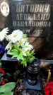 Захоронение ID 3604942