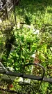 Захоронение ID 3604944