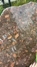 Захоронение ID 3605028