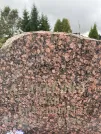Захоронение ID 3602366