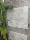 Захоронение ID 6349078