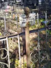 Захоронение ID 6346273