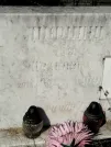 Захоронение ID 5460064