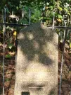 Захоронение ID 5784764