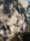 Захоронение ID 5784750