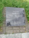 Захоронение ID 6134394